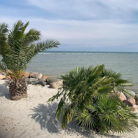 House With Good Lokation Near Forrest And 度假居 *