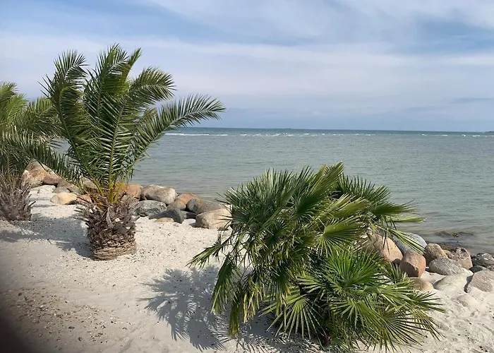 House With Good Lokation Near Forrest And 度假居 *